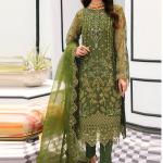 Organza Salwar Suit With Dupatta